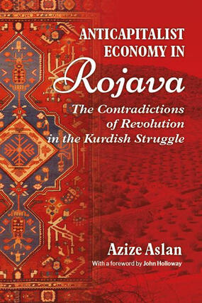Anticapitalist Economy in Rojava by Azize Aslan