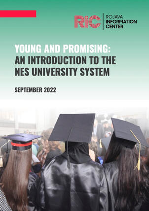 Young and Promising: An Introduction to the NES University System