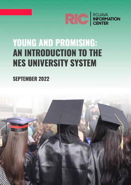 Young and Promising: An Introduction to the NES University System