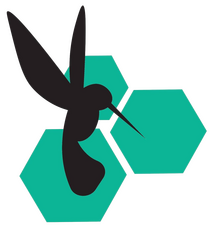 Solidarity Economy Association